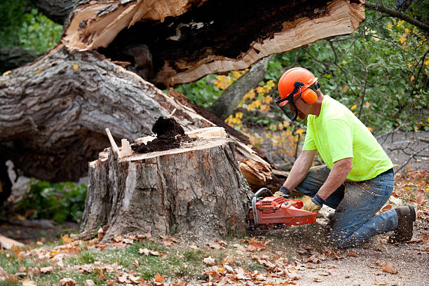 Mulching Services in Ramblewood, NJ